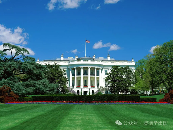 2.webp (1).png