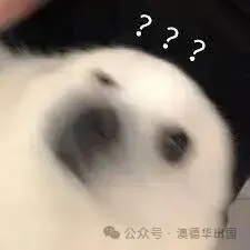 2.webp.png
