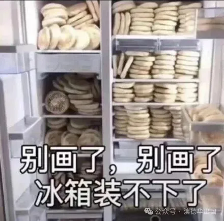 1762508584424051.png 11.webp.png