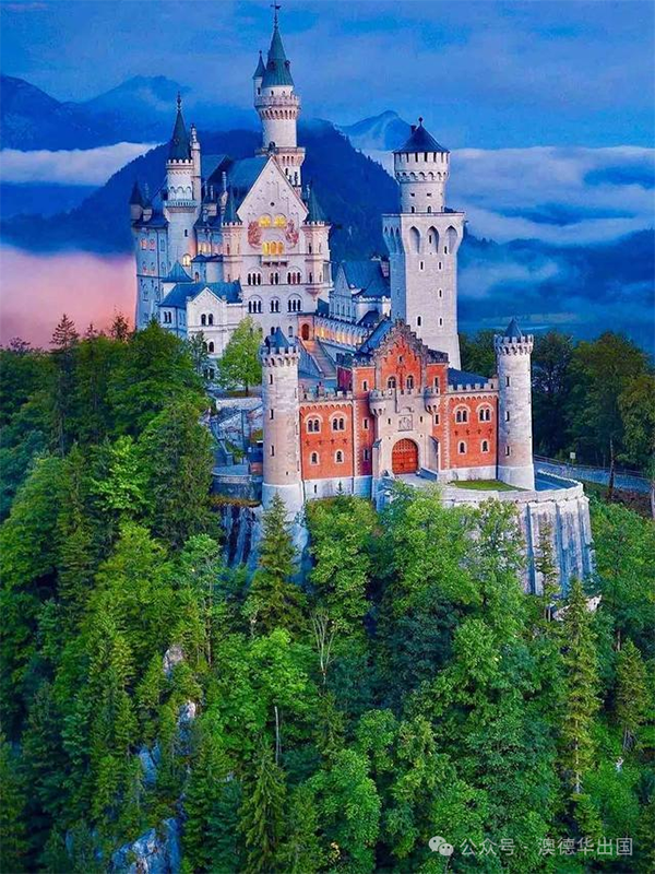 1764580580225980.png 4.png