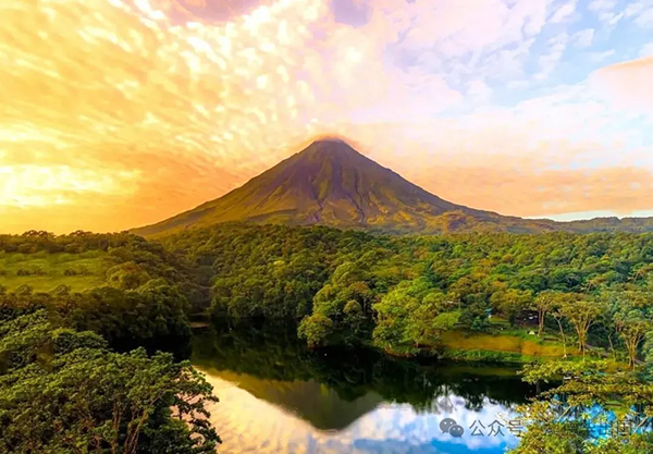 1765444600452529.png 5.webp.png