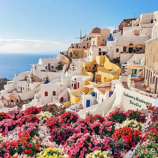 1767518144921227.png 9.webp.png